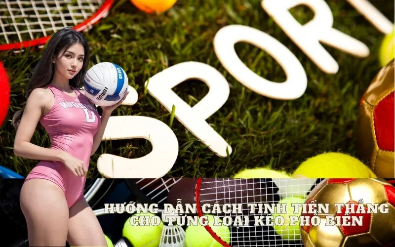 Hướng Dẫn Cách Tính Tiền Thắng Cho Từng Loại Kèo Phổ Biến